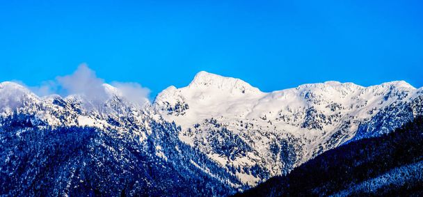 Павлины, покрытые снегом, Тингл и другие горные павлины прибрежного горного хребта видны с берега озера Питт в долине Озер в Британской Колумбии, Канада
 - Фото, изображение