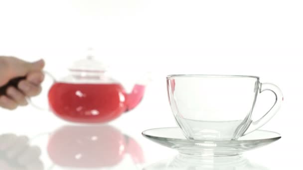Dokonywanie hibiscus herbata w szklankę filiżankę herbaty. Białe tło - Materiał filmowy, wideo