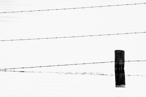 Колючая проволока и отражение в воде в черно-белом контрасте
 - Фото, изображение