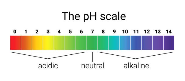 Κλίμακα pH. Infographic της οξεοβασικής ισορροπίας. κλίμακα για χημική ανάλυση οξέος βάσης. - Διάνυσμα, εικόνα
