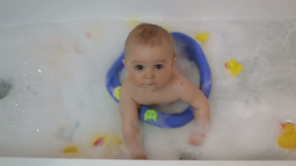 Little baby boy, playing with rubber ducks in bathtube with his siblings - Imágenes, Vídeo