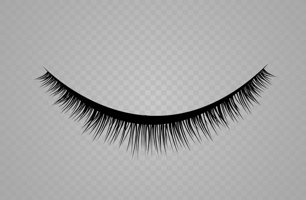 Lashes isolated on transparent background. False eyelashes set. Vector illustration - Vector, Image