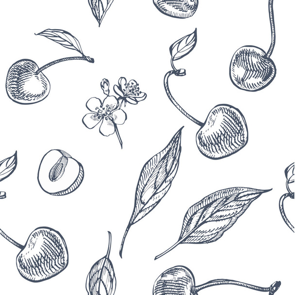 Cherry set. Hand drawn berry isolated on white background. Summer fruit engraved vector style illustration. Great for label, poster, print. Seamless pattern - Vetor, Imagem