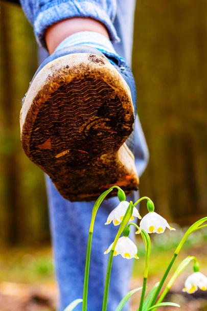 Παπούτσι πορεύεται σε ένα λουλούδι στο γρασίδι - Φωτογραφία, εικόνα