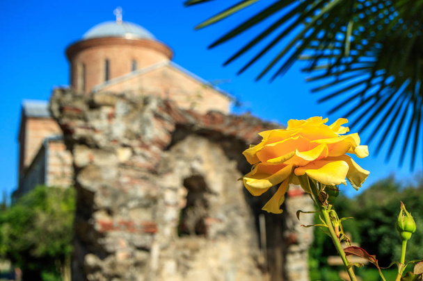 κίτρινο τριαντάφυλλο στο φόντο του παλιού καθεδρικού ναού του 4ο αιώνα - Φωτογραφία, εικόνα