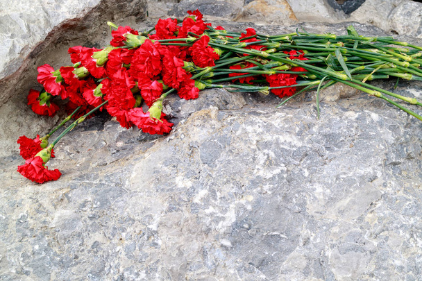 λουλούδια κόκκινα γαρίφαλα ξαπλωμένη στην πέτρα, λουλούδια στη μνήμη των θυμάτων - Φωτογραφία, εικόνα