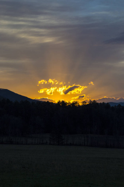 Smoky Mountains Sunrise Vertical - 写真・画像