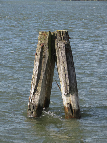 Postes de madera en el agua
 - Foto, Imagen