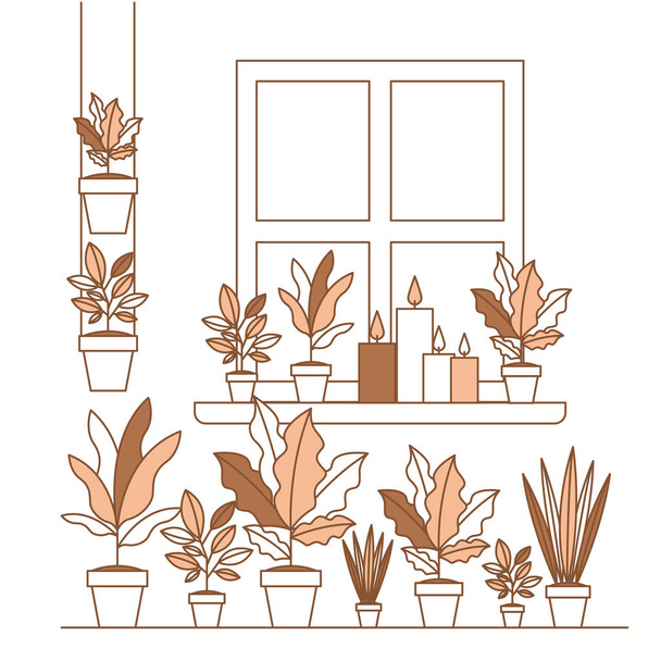 Szobanövények otthoni dekoráció csoportja - Vektor, kép