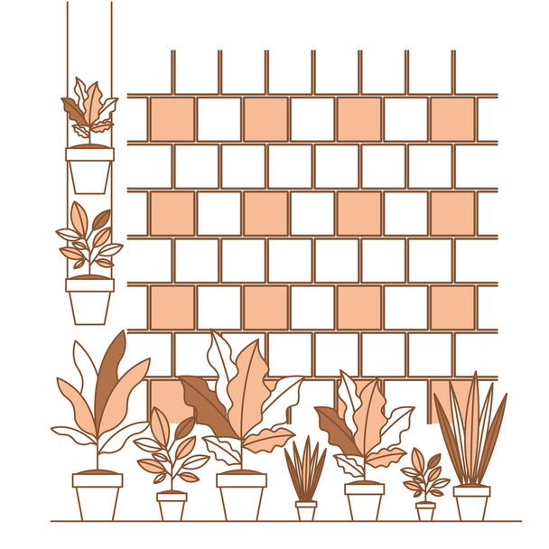 Szobanövények otthoni dekoráció csoportja - Vektor, kép