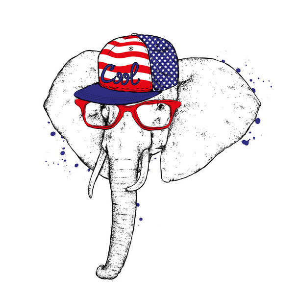 An elephant in a cap and glasses. Vector illustration. Wild animal, africa and safari. - Wektor, obraz