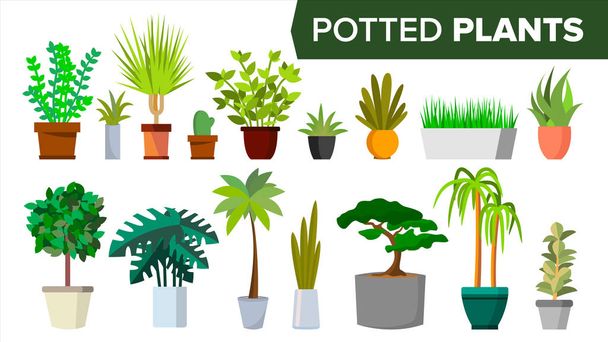 Potted Plants Set Vector. Indoor Home, Office Modern Style Houseplants. Green Color Plants In Pot. Various. Floral Interior Icon. Decoration Design Element. Isolated Flat Illustration - Vector, Image