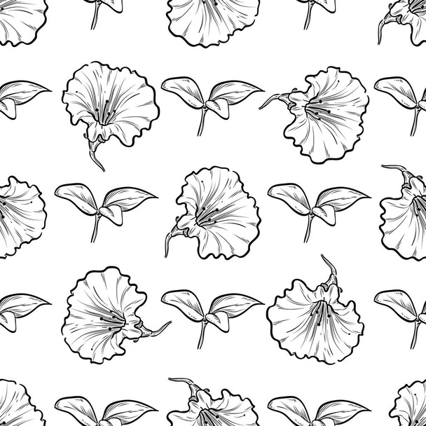 Vector petunya seamless pattern of flowers - Vetor, Imagem