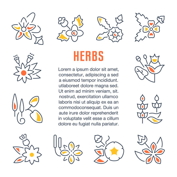 Banner del sitio web y Landing Page of Herbs
. - Vector, Imagen