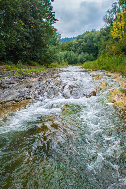 Горная река, протекающая через зеленый лес - Фото, изображение