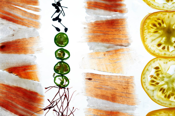 Прозора їжа для іберіко шинка серано помідор чилі перець шафран
 - Фото, зображення