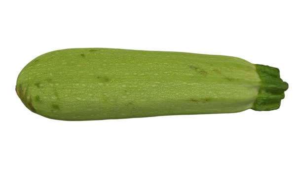 realistische Darstellung einer rotierenden Zucchini (Magda-Sorte) auf weißem Hintergrund. das Video ist nahtlos in Schleife, und das 3D-Objekt wird von einer echten Zucchini gescannt. - Filmmaterial, Video