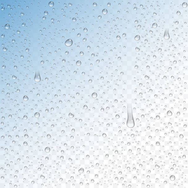 Vector realista gotas de agua condensadas
 - Vector, imagen