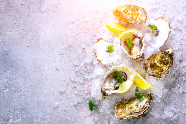 Fresh opened oysters, lemon, herbs, ice on concrete stone grey background. Top view, copy space. Toned sunny effect and sunlights - Zdjęcie, obraz