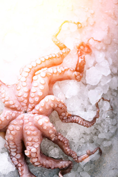 Fresh raw octopus on ice, grey concrete background. Top view, copy space. Toned sunny effect and sunlights - Valokuva, kuva