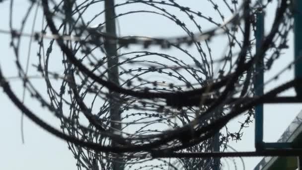 Barbed wire on the fence. Prison fence. - Materiaali, video