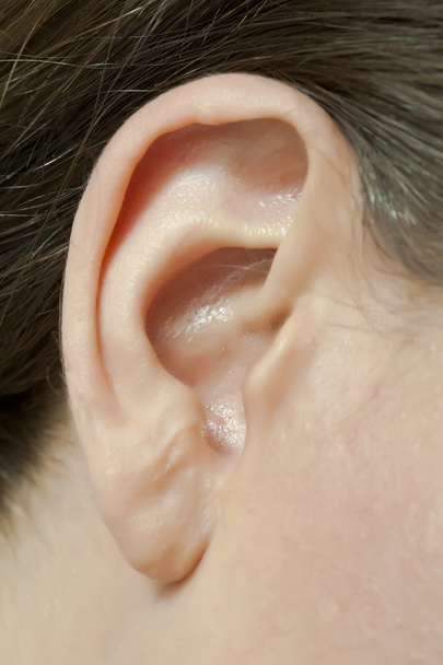 ucho ženy - Fotografie, Obrázek