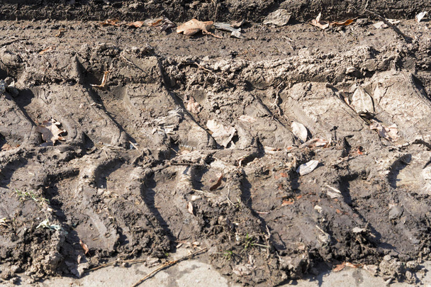 spring mud, wet soil with tire prints - Foto, afbeelding