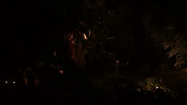 Una mujer camina en el bosque con la lámpara en la mano
 - Metraje, vídeo