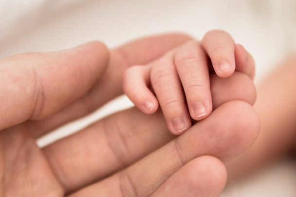 Recém-nascidos mão pequena segura os dedos de seu pai amoroso
 - Foto, Imagem