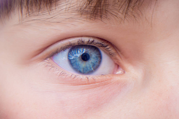 Eye of  girl close-up. Open and calm look_ - Φωτογραφία, εικόνα