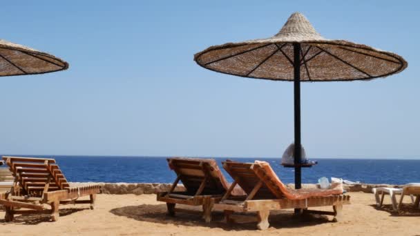 Сонячні природні парасольки та шезлонги на пляжі
 - Кадри, відео