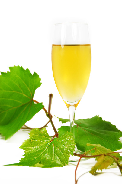 Muscat glass of wine with leaves - Foto, imagen