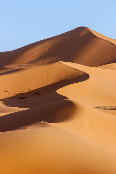 złotych wydm pustyni sahara - Zdjęcie, obraz