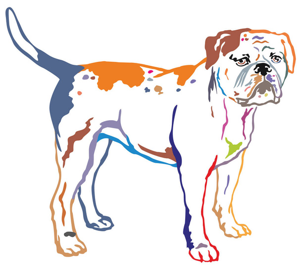 Colorful decorative standing portrait of American Bulldog vector - Vector, Image
