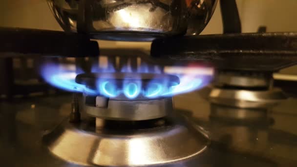 cooker with blue flames - Footage, Video