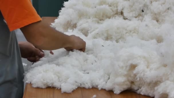 As mãos de uma fábrica têxtil que trabalha limpam o algodão cru. A câmara está estacionária. Close-up
 - Filmagem, Vídeo