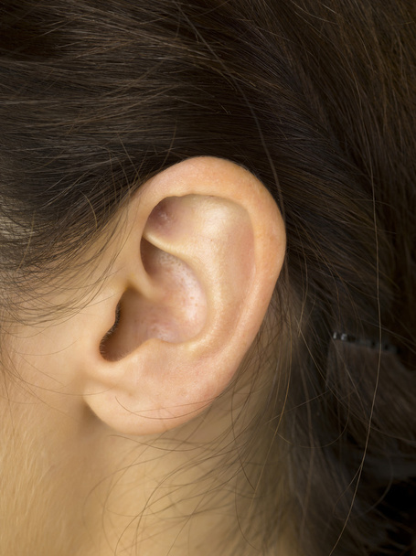 žena ucho - Fotografie, Obrázek