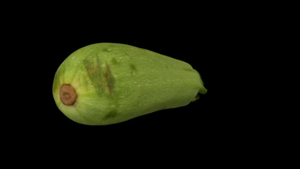 realistische Darstellung einer rotierenden Zucchini (Magda-Sorte) auf schwarzem Hintergrund. das Video ist nahtlos in Schleife, und das 3D-Objekt wird von einer echten Zucchini gescannt. - Filmmaterial, Video