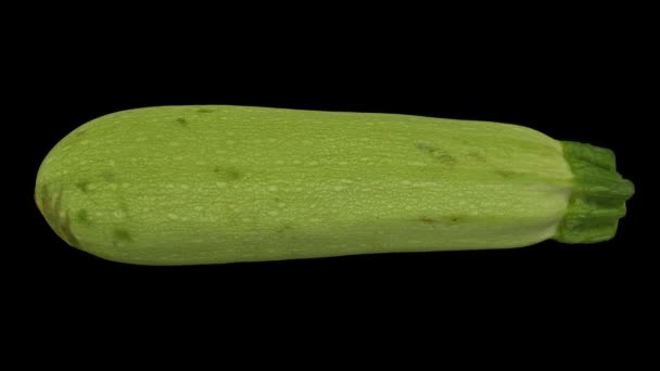 Realistic render of a rotating zucchini (Magda variety) on black background. The video is seamlessly looping, and the 3D object is scanned from a real zucchini. - Footage, Video
