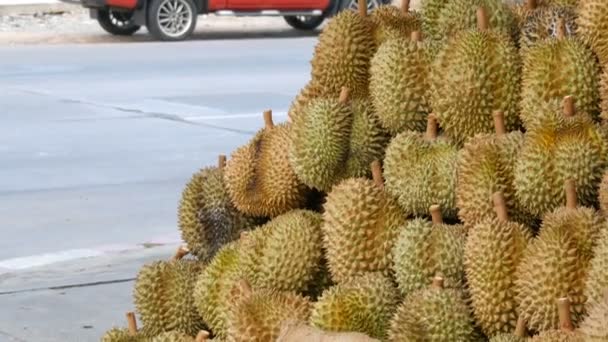 O Durian está no balcão de uma loja de rua. Frutos exóticos da Tailândia e Ásia. O rei da fruta Tailândia, frutas tropicais
. - Filmagem, Vídeo