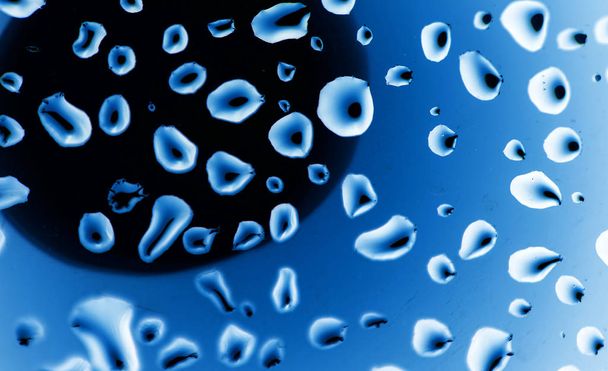 drops of water on a blue background - Foto, Bild