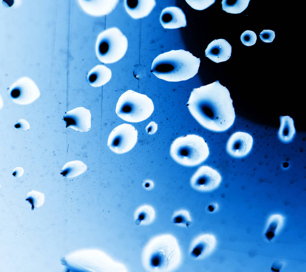 drops of water on a blue background - Foto, afbeelding