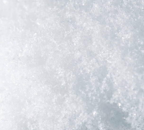 snow as a backdrop. macro - Zdjęcie, obraz