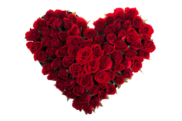 Red Roses - Photo, Image
