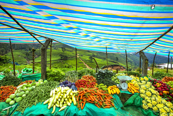 Durak, Sri Lanka sebze pazarı - Fotoğraf, Görsel