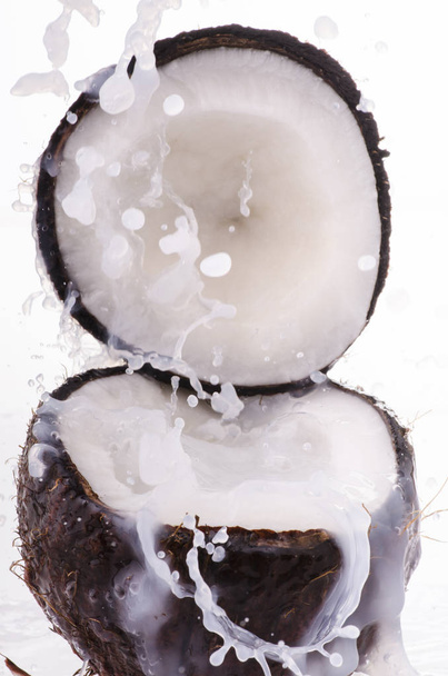 fresh coconut with splash - Foto, afbeelding