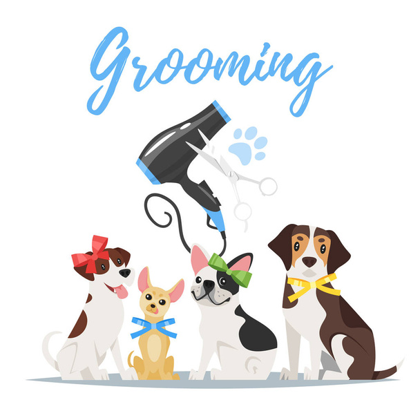 Grooming concept met honden - Vector, afbeelding