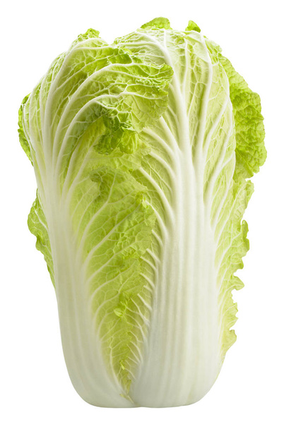 Chinese cabbage isolated on white background - Photo, image