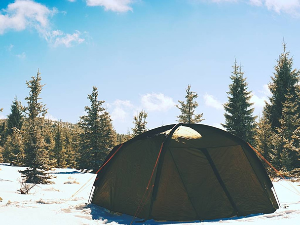 Зимний лагерь на снегу в лесу. Зеленая палатка между деревьями
.  - Фото, изображение