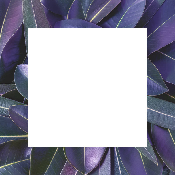 Kreatives Layout aus lila Blättern mit Zettelpapier. - Foto, Bild